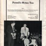Sonny-DogShow-2 (1972 Dog Show- Alfred Saba, Jr)