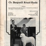 Sonny-DogShow-8sm (1972 Dog Show- Alfred Saba, Jr)