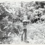 80KrivanecRoad-12-sm (A Willington Safari)
